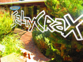 Saltycrax Backpackers and Surf Hostel, Table View